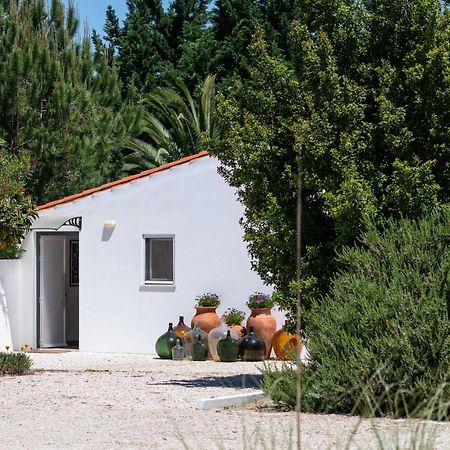 Sete Quintas Country House سالفاتيرا دي ماجوس المظهر الخارجي الصورة