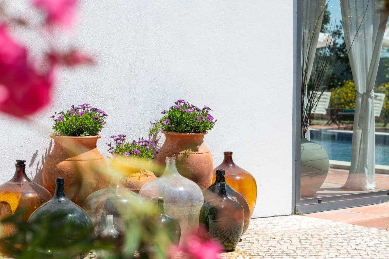 Sete Quintas Country House سالفاتيرا دي ماجوس المظهر الخارجي الصورة
